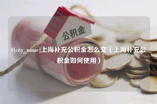 西藏上海补充公积金怎么交（上海补充公积金如何使用）